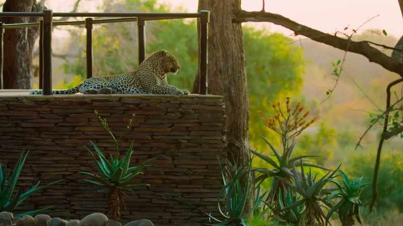 This pretty much has become his lodge. His private kingdom