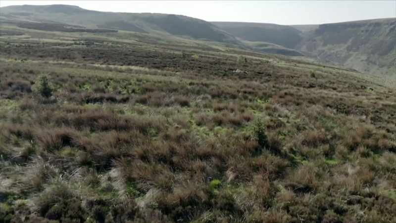 This programme contains graphic descriptions of murder