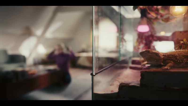 This programme contains graphic scenes from the start that some viewers may find distressing