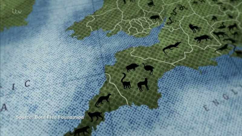 'This remarkable map shows