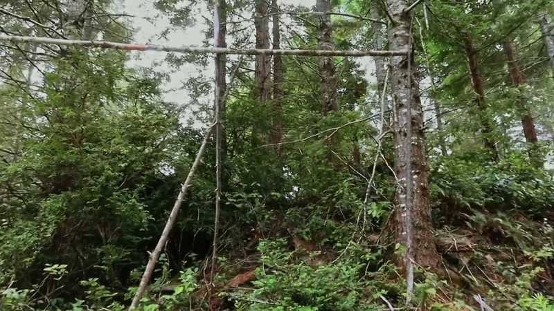 This reminds me of that tree structure we saw