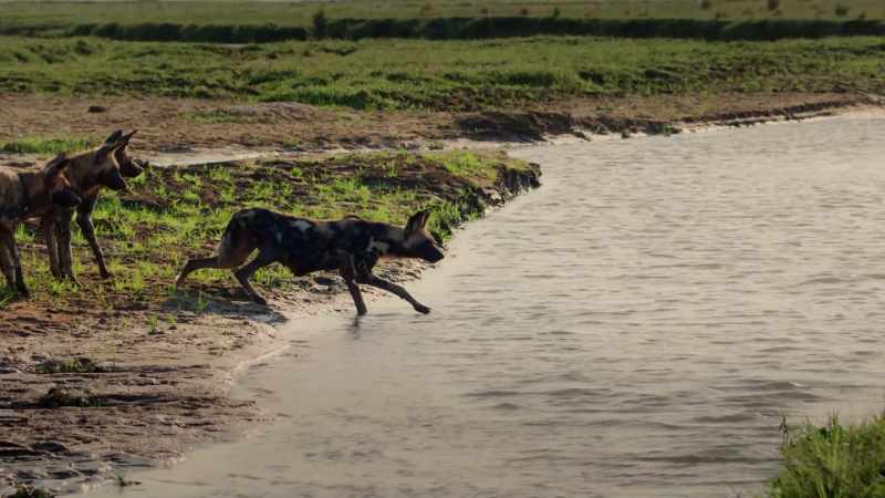 This river marks the boundary between her own territory