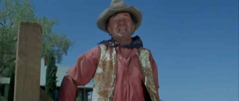 This is rodeo!