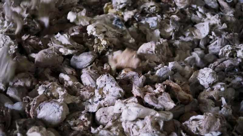 This rubber factory is owned by Robert Meyer