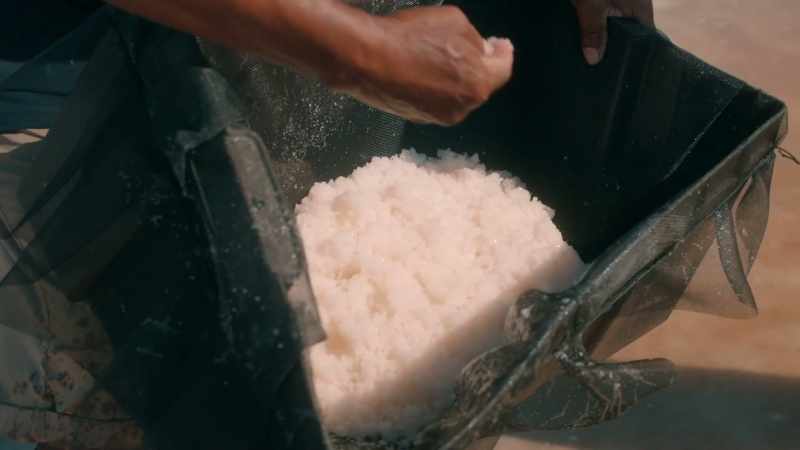 This salt will not leave us