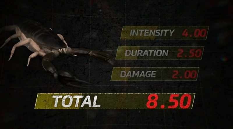 This scorpion looks intimidating