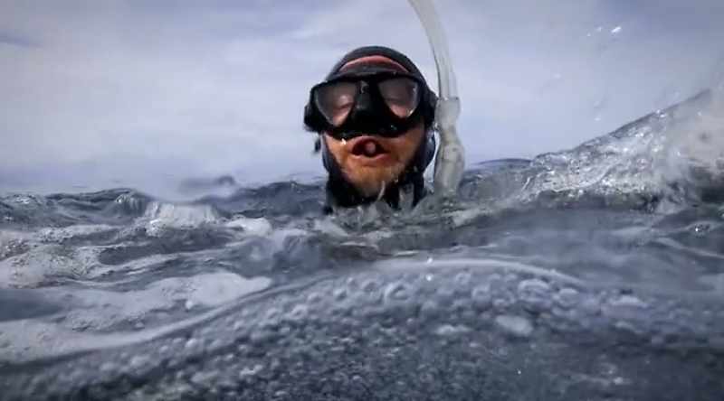 This shark is not attacking a fish