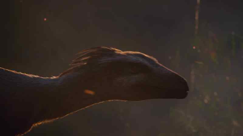 This six-foot-long dinosaur, a troodontid