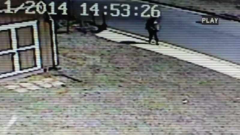 This surveillance video of Danielle