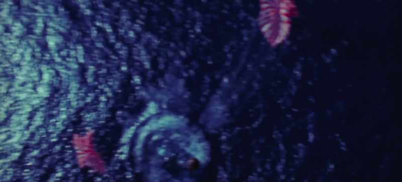 This is SWIM 1, the Command Module is at stable 1