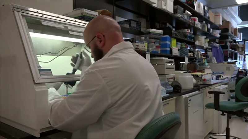 This is the ability to really create personalized medicine