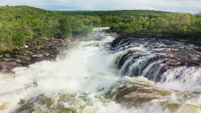 This is the Cano Cristales river in Colombia