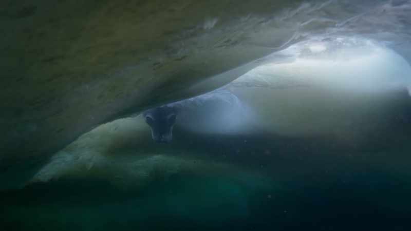 This is the coldest water on Earth