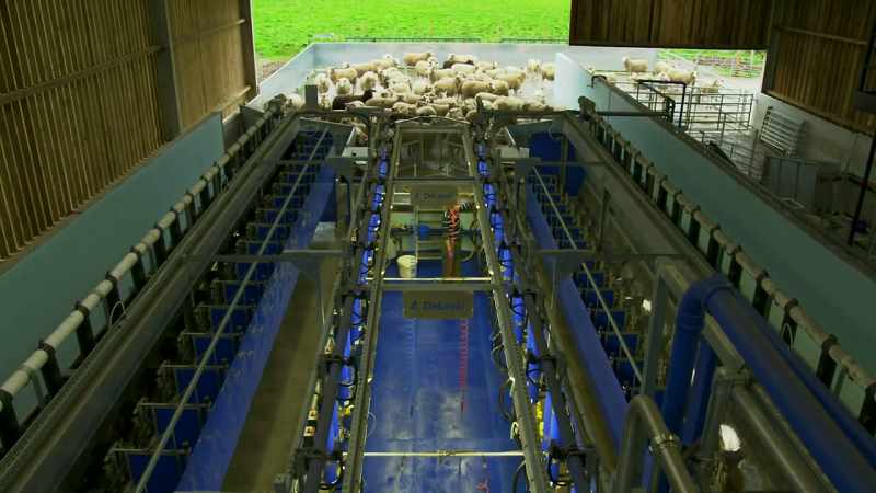 �� This is the dairy built in a barn ♪