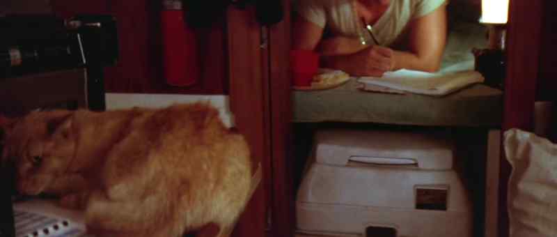 This is the fifth letter I've written you