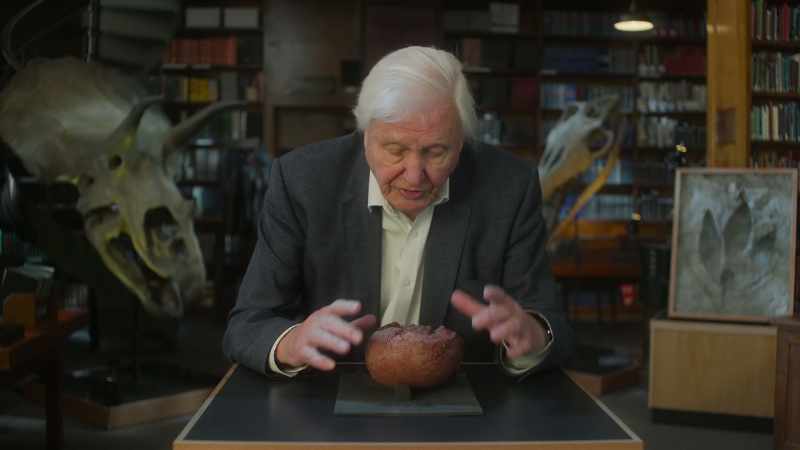This is the fossilized egg of a giant dinosaur