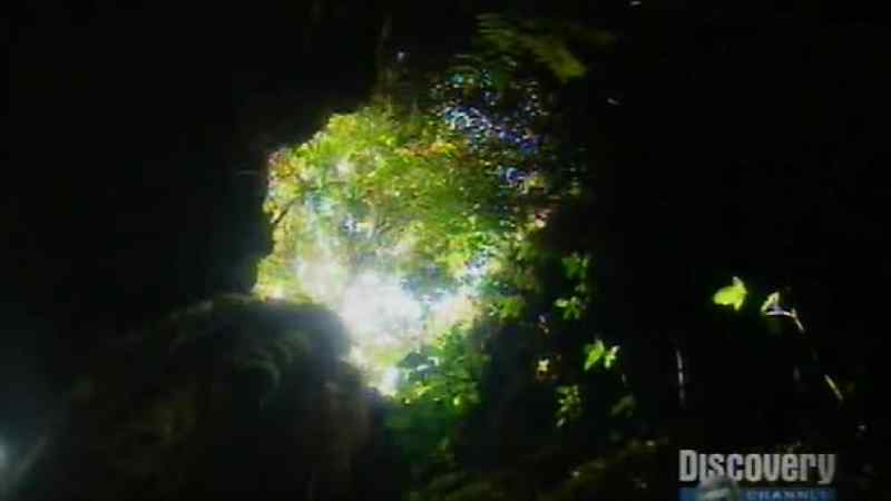 This is the hole where I when he was down