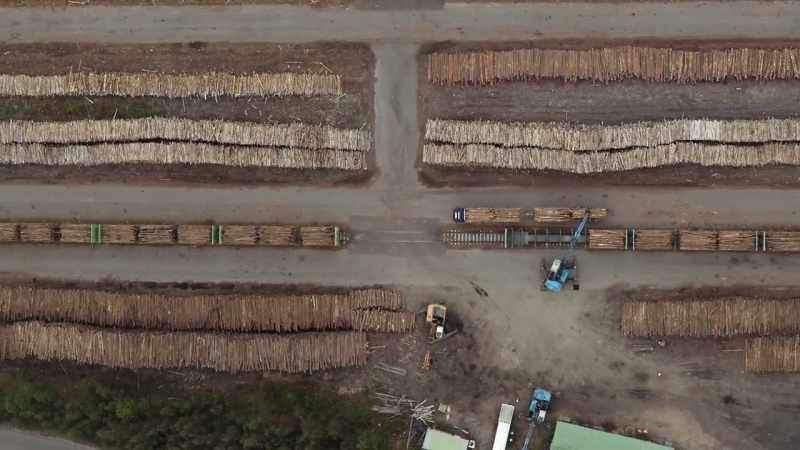 This is the longest log train in Finland