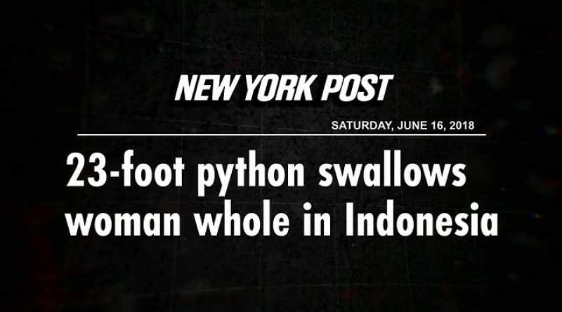 This is the only snake on the planet