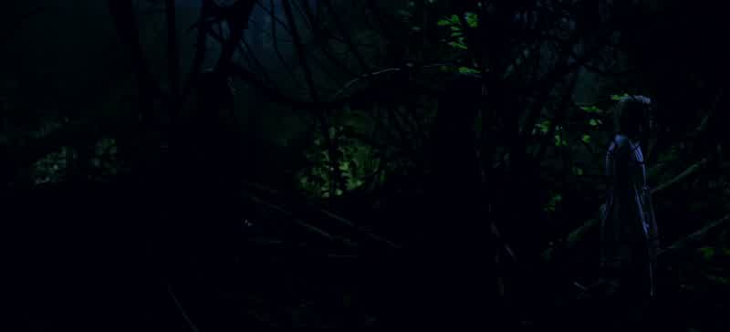 This is the same path the Greendale Thirteen, who'd survived torture and imprisonment, walked to the noose