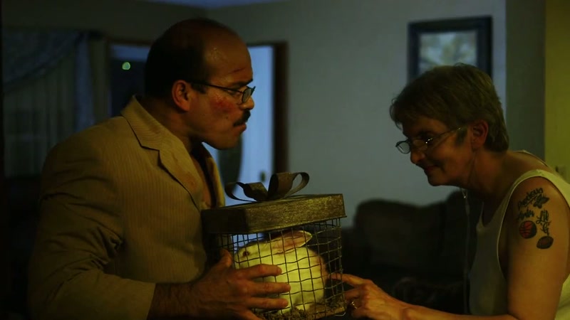 This is the same rabbit I purchased for my daughter a few hours ago