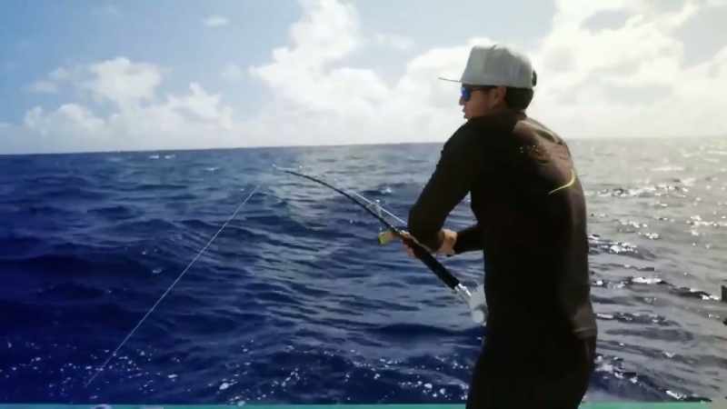 This is the type of fish, these 60, 70, 80 pounders