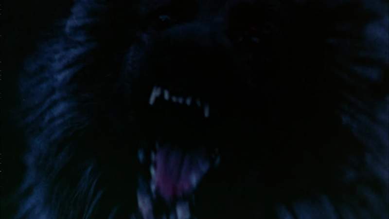 This is the werewolf break