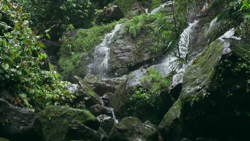 This is the wettest place in the world