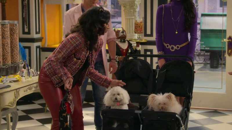 This is the year my precious pooches