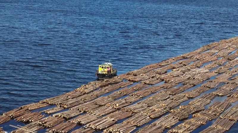 This timber is on a 150 mile journey downstream