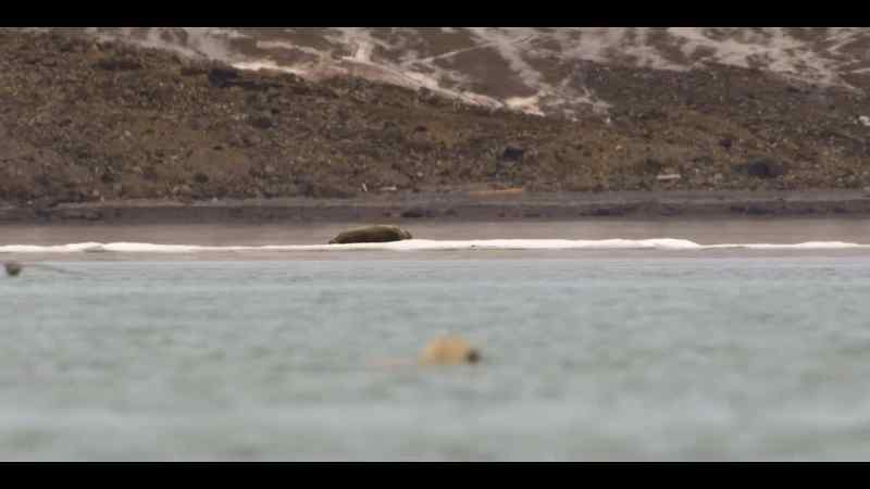 This time, there is over 600 feet of open water between them