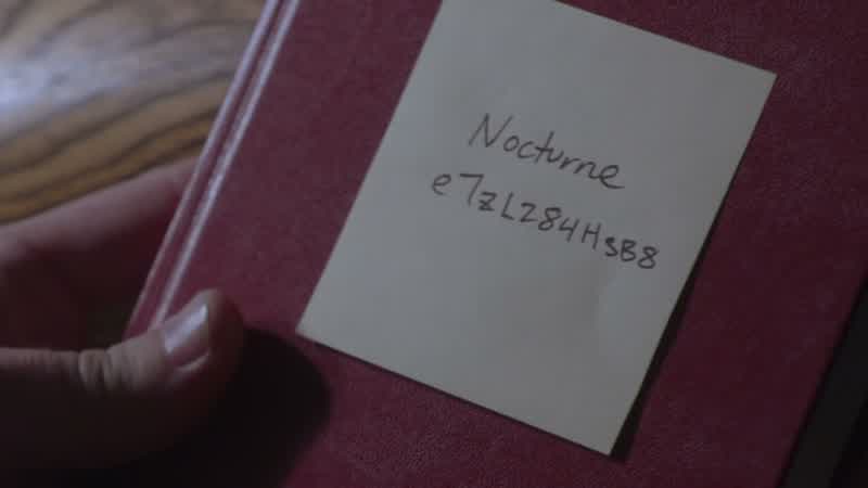 This tip about the hit man came from inside the government