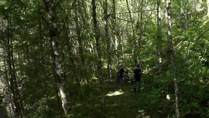 This tree structure is where the kill would actually take place