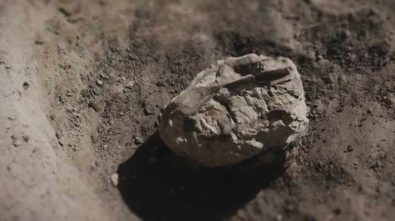 THIS TURTLE SKULL'S SPECIAL BECAUSE THE SIZE OF IT FOR ONE