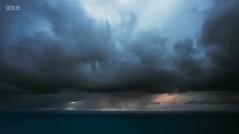 This unpredictability makes filming in our seas