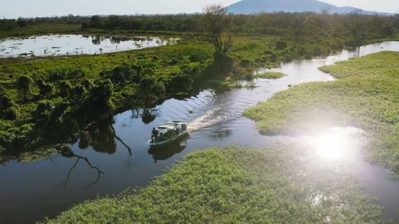 This vast wetland is the Pantanal