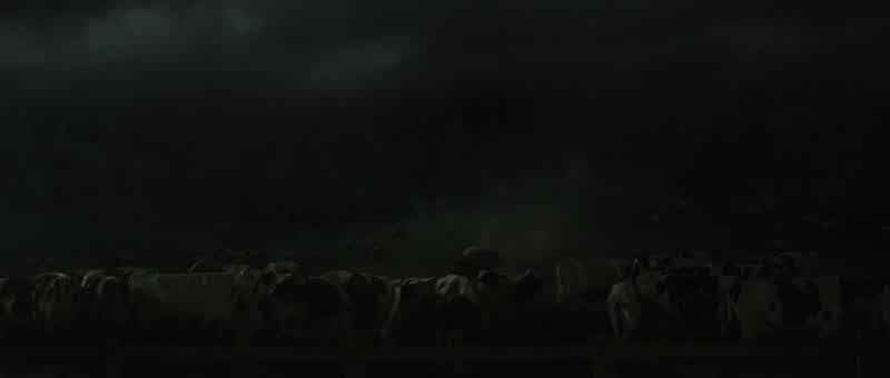 This way, guys!