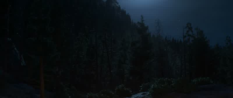 This where we cut our racing team in the woods let's just say the boom was always shinemoons if the moon didn`t shine we didn't have to