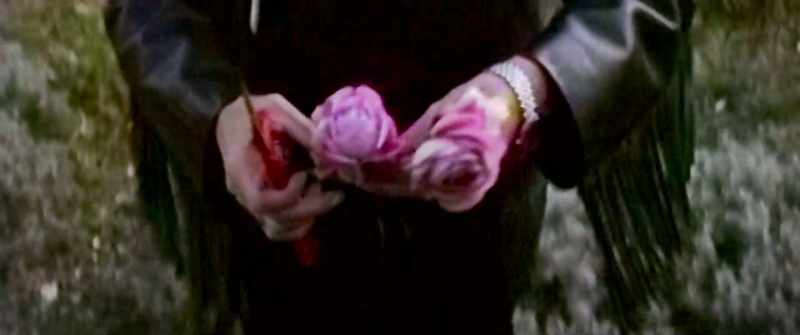 This is where they grow all the flowers