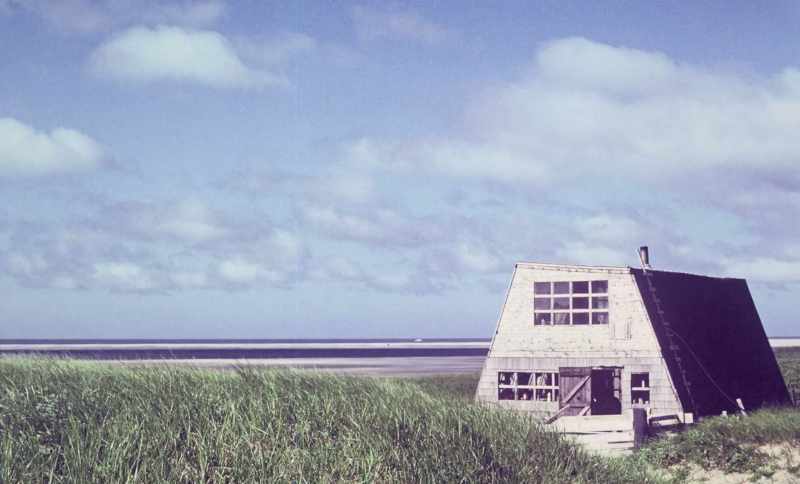 This is where I started it all On Sable Island, from here