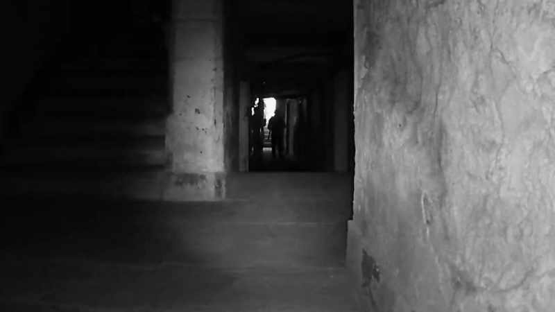 This is where they like to be. Basement, cellars, dark rooms