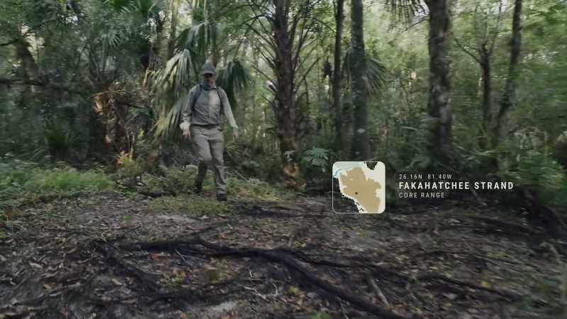 This is where the panther project began for me