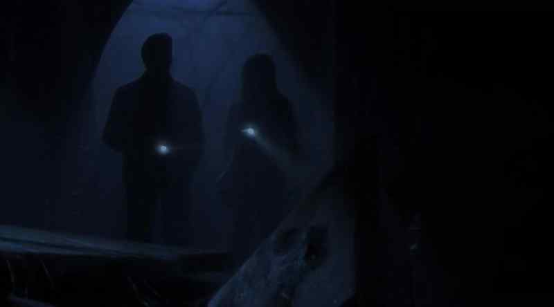 This is where they cornered him