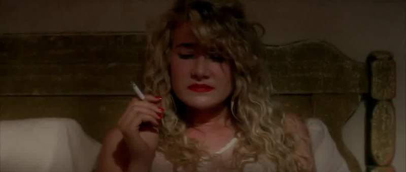 This whole world's wild at heart and weird on top