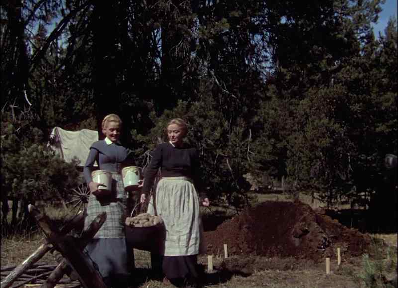 This will be a handy place for your woodpile, Liza