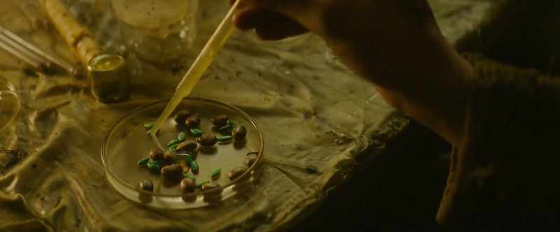 This will mix with the seeds' cells