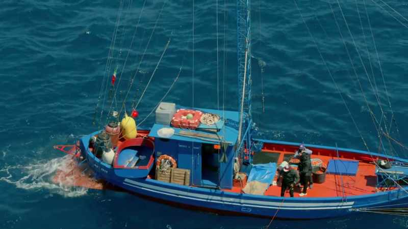 This will tire the fearsome swordfish out