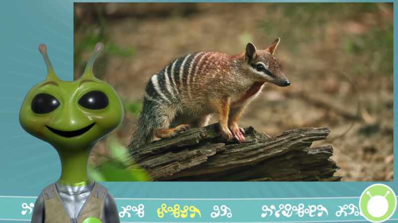This will try to eat you