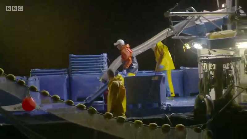 This year, we ended up catching just over 600 tonnes