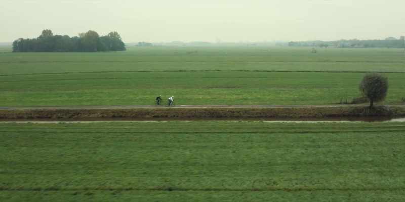This year, the famous Paris-Roubaix cycle race